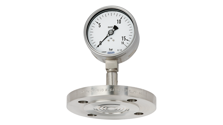 Diaphragm seal systems